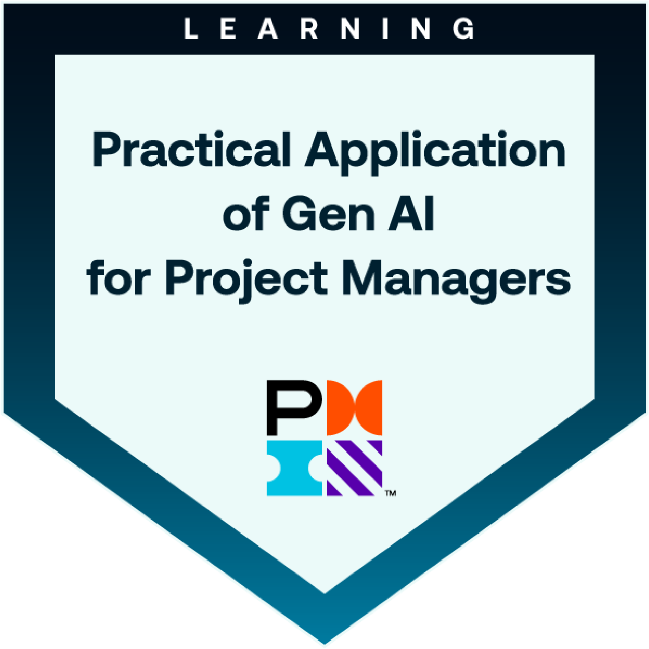 PMI AI Certified